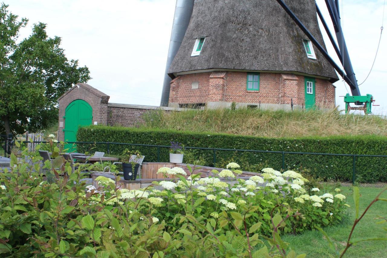 Bij Molen De Blazekop, Rustig En Landelijk Ovezande Bagian luar foto