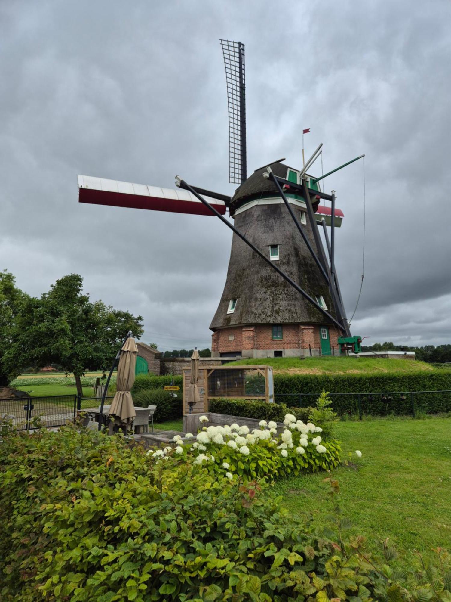 Bij Molen De Blazekop, Rustig En Landelijk Ovezande Bagian luar foto